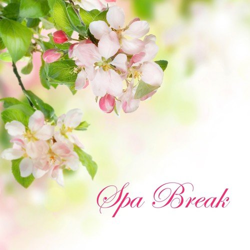 Spa & Spa cover art