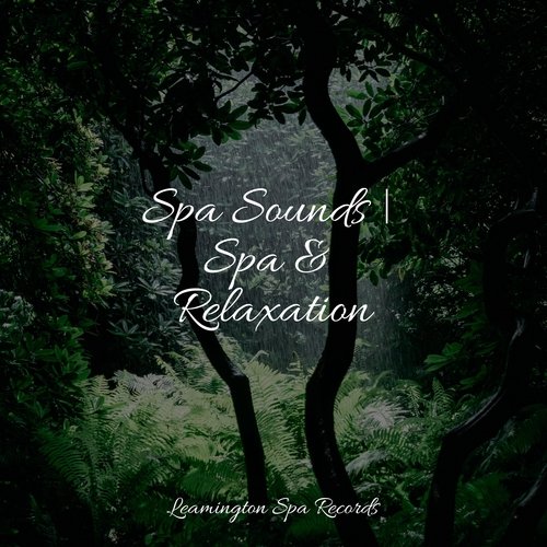Spa Sounds | Spa & Relaxation
