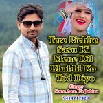 Tere Pichhe Sasu Ki Mene Dil Bhabhi Tod Diyo