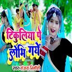 Tikuliya Pe Lobhi Gaye