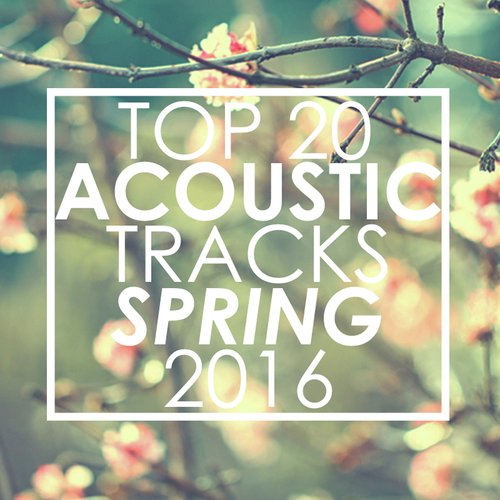 Top 20 Acoustic Tracks Spring 2016