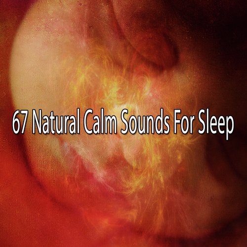 67 Natural Calm Sounds For Sleep