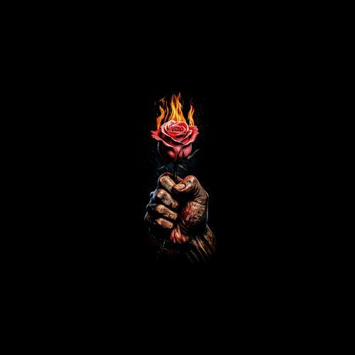 ASHES & ROSES