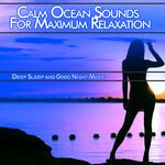 Insomnia Relief (Nature Sounds Version)