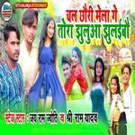 Chal Chhauri Mela Ge Tora Jhulua Jhulaibau