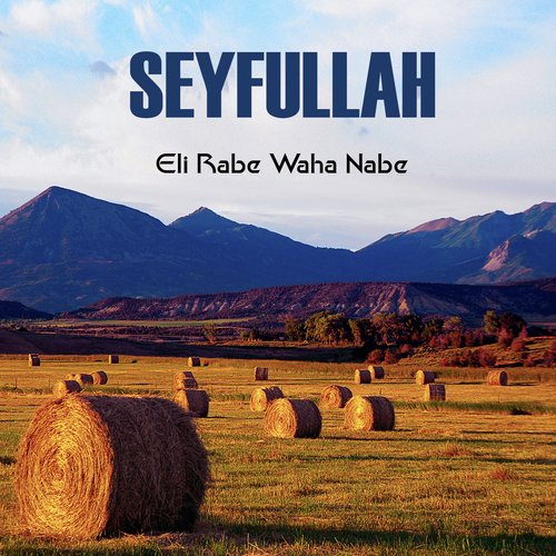 Selamun Selam cover art