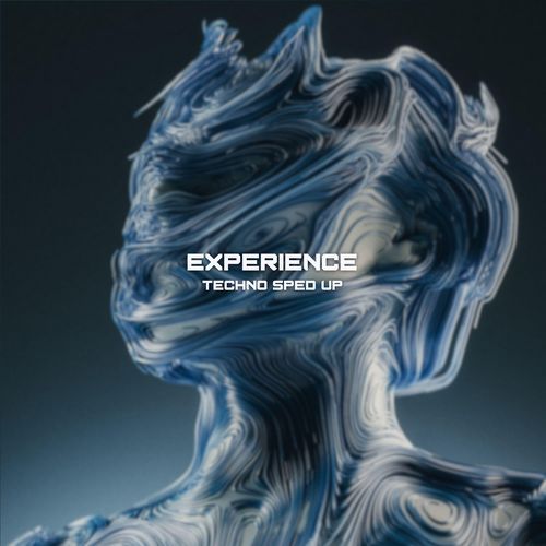 Experience