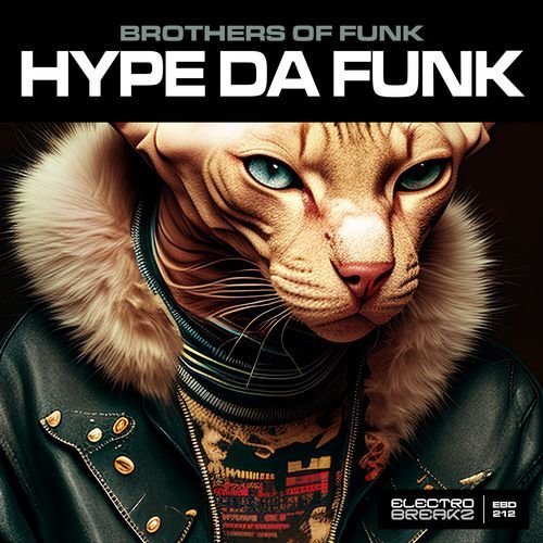 Hype Da Funk cover art