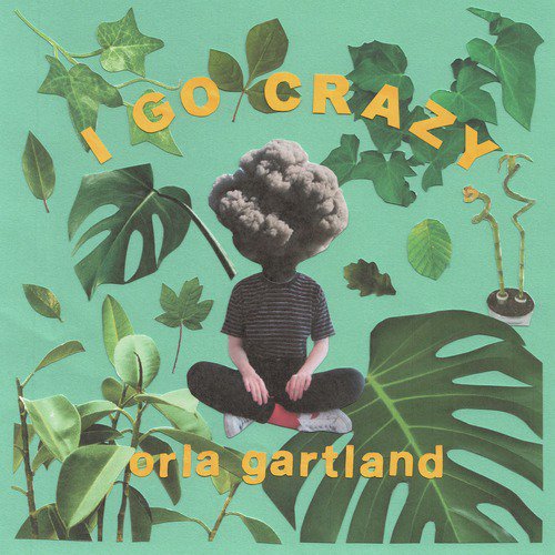 I Go Crazy_poster_image