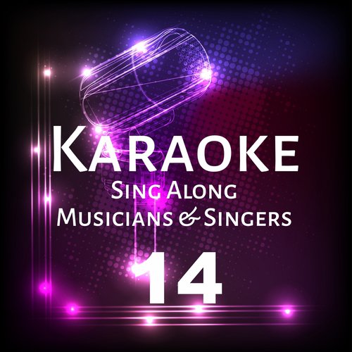 Karaoke Sing Along Musicians & Singers, Vol. 14