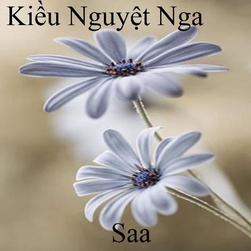 Kiều Nguyệt Nga_poster_image