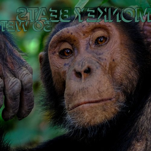 Monkey Beats (Liberated Abemix) cover art