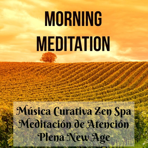 Morning Meditation - Música Curativa Zen Spa Meditación de Atención Plena New Age de la Naturaleza para Pensamiento Positivo Salud y Bienestar_poster_image