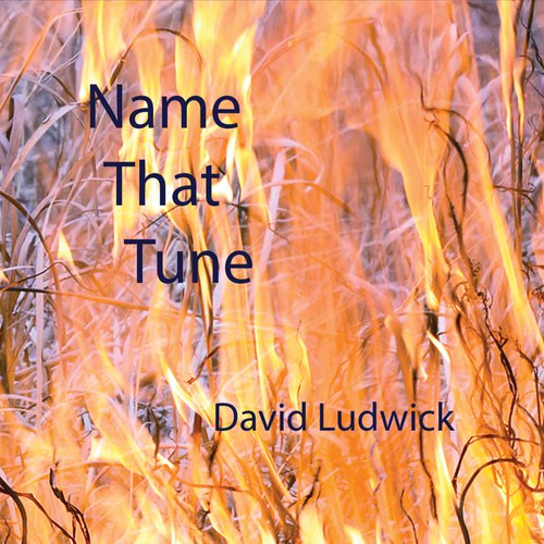 David Ludwick