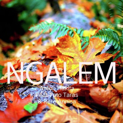 Ngalem cover art