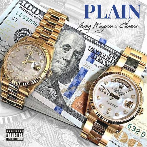 Plain cover art