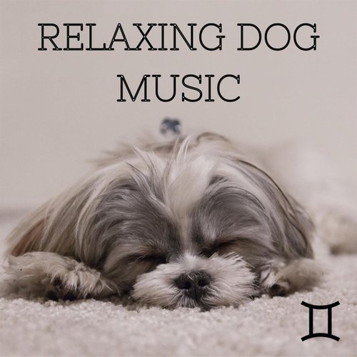 Soothing Lofi cover art