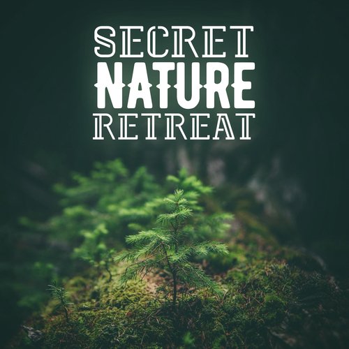 The Trickle - Song Download from Secret Nature Retreat @ JioSaavn