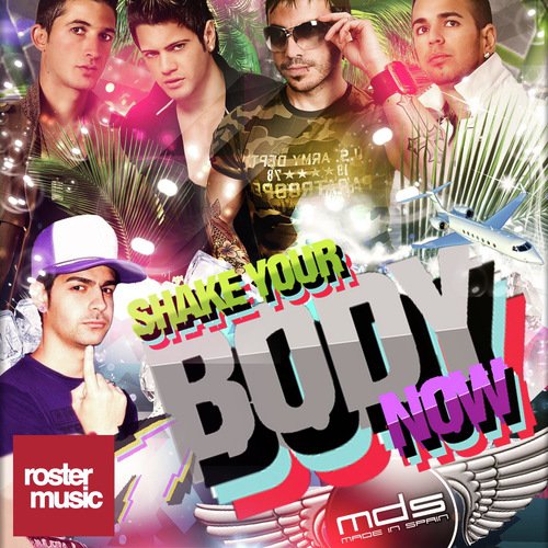 Shake Your Body Now_poster_image