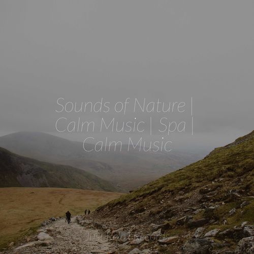 Sounds of Nature | Calm Music | Spa | Calm Music