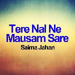 Tere Nal Ne Mausam Sare