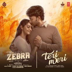 Teri Meri (From &quot;Zebra&quot;) - Hindi-IBEaXDl4Z3I