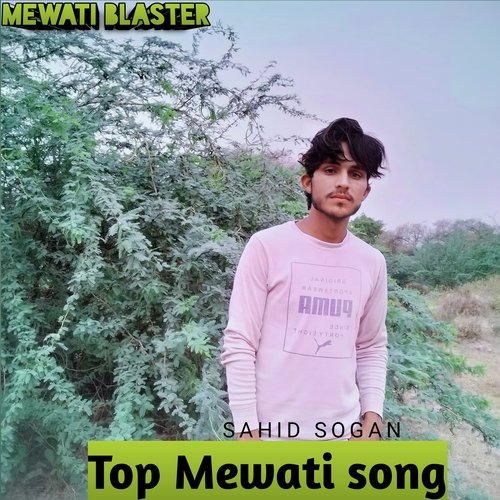 Top Mewati Song