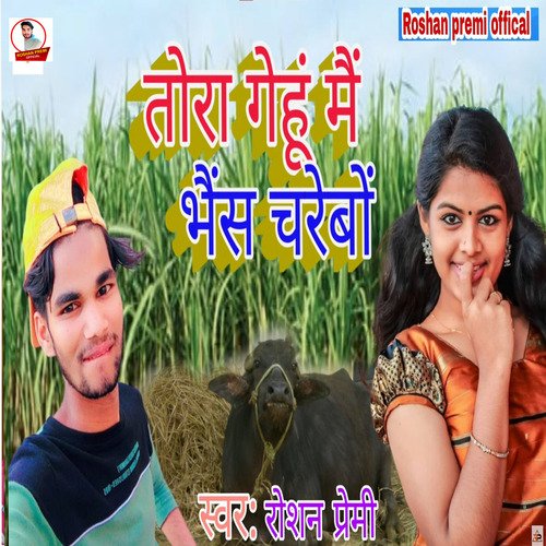 Tora Gehu Me Bakri Charebo Ge