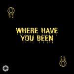 Where Have You Been (House)