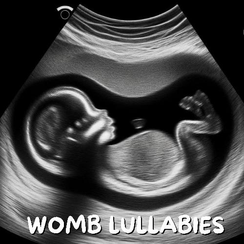 Womb Lullabies: Calming Sound Therapy for Newborn Baby_poster_image