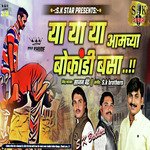 Ya Ya Ya Amchya Bokandi Basa