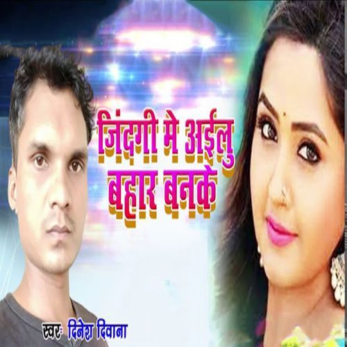 Zindagi Me Ailu Nahar Banke