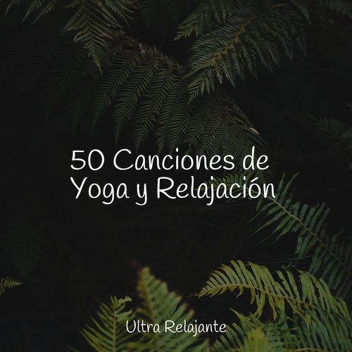 50 Canciones de Yoga y Relajación