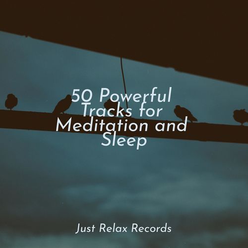 50 Powerful Tracks for Meditation and Sleep