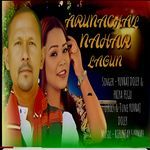 Arunachal Nahar Lagun