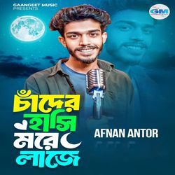 Chader Hasi More Laje