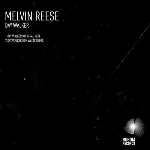 Day Walker (Rik Watts Remix) cover art