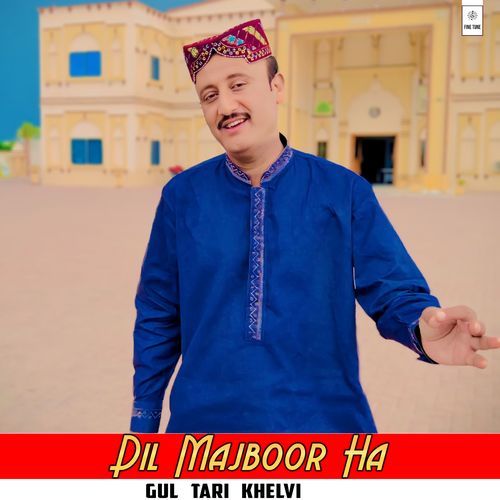 Dil Majboor Ha