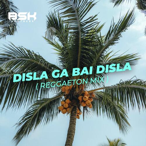 Disla Ga Bai Disla