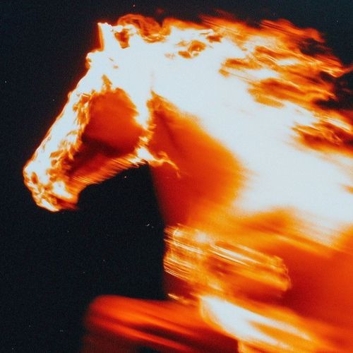 Feel The Fire
