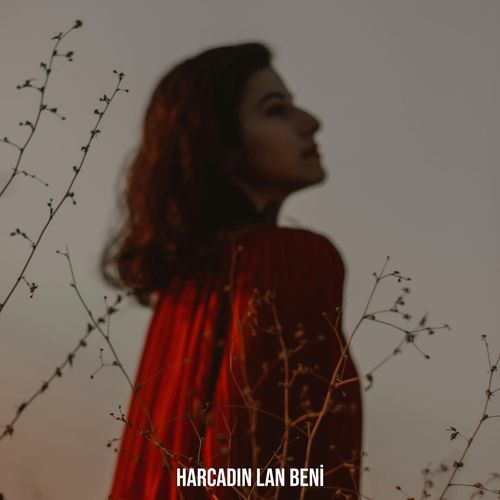 Harcadın Lan Beni cover art