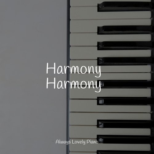 Harmony Harmony