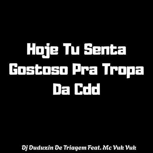 Hoje Tu Senta Gostoso Pra Tropa Da Cdd (feat. Mc Vuk Vuk) cover art