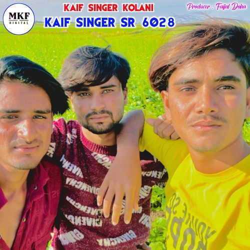 Kaif Singer SR 6028