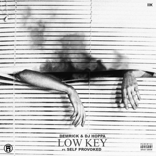 Low Key (feat. Self Provoked)