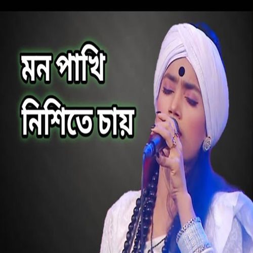 মন পাখি মিশিতে চায়