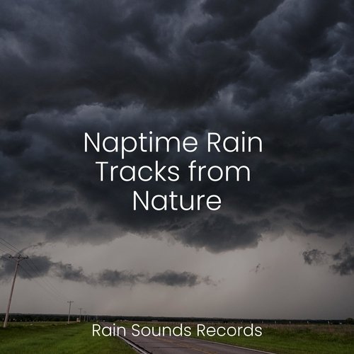 Naptime Rain Tracks from Nature