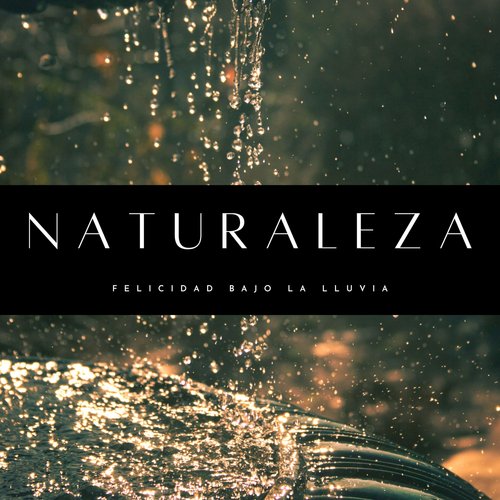 Sonidos De Tormentas cover art