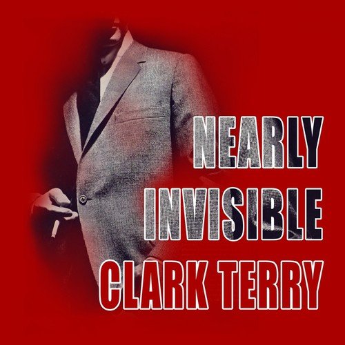 Nearly Invisible_poster_image