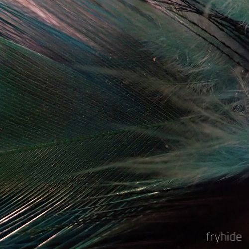 On The Radar cover art